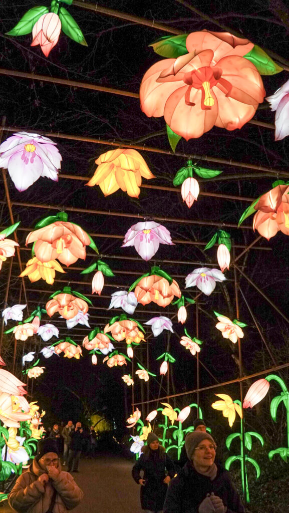 China Lights im K&ouml;lner Zoo