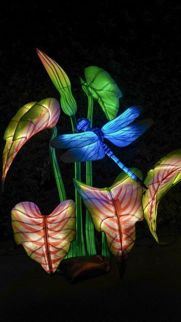 China Lights im K&ouml;lner Zoo