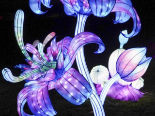 China Lights im K&ouml;lner Zoo