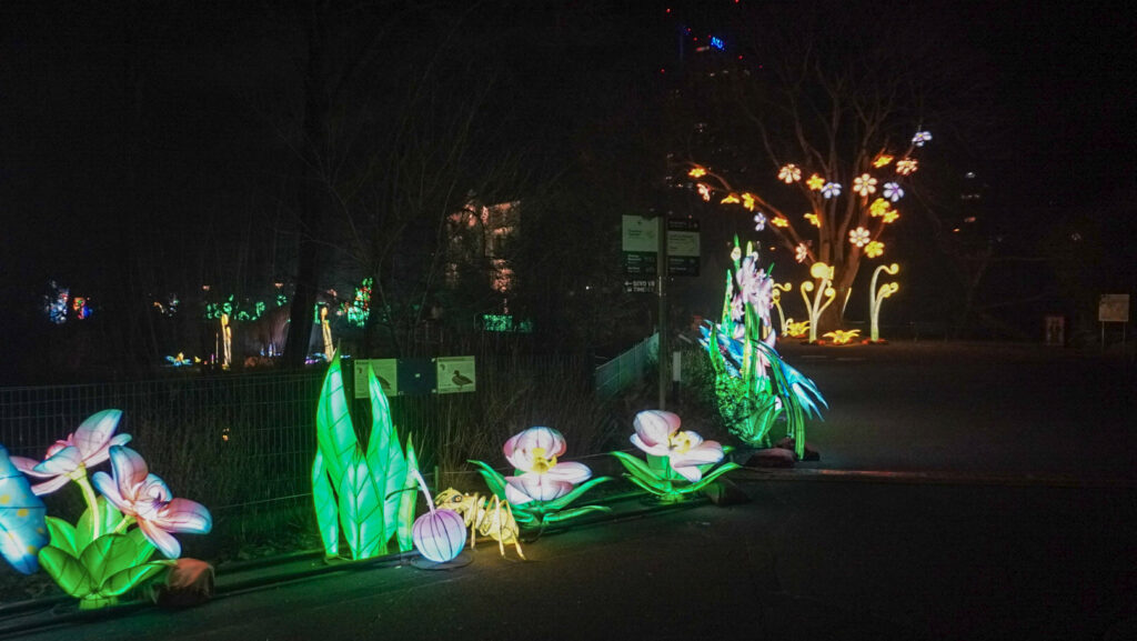 China Lights im K&ouml;lner Zoo