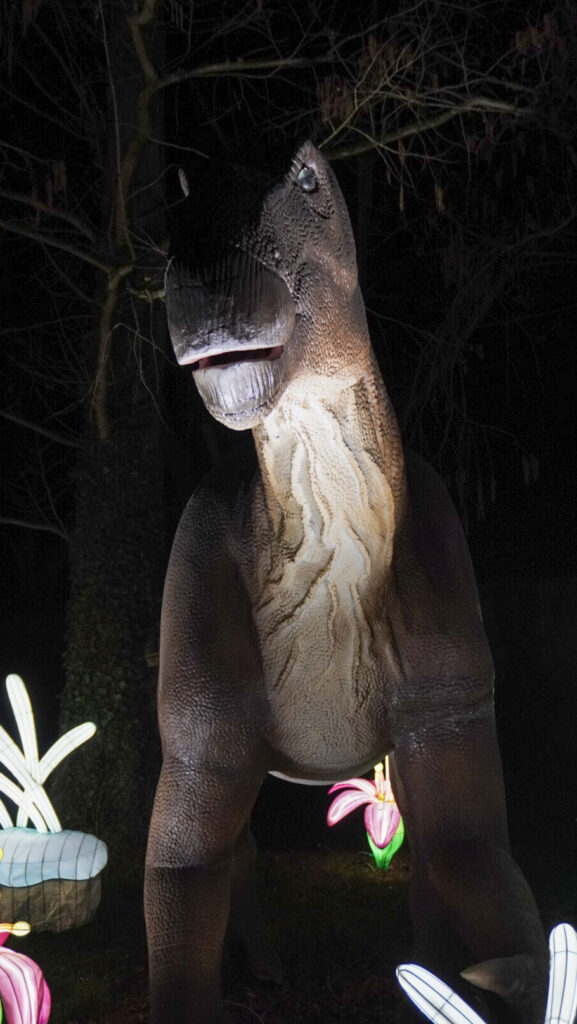 China Lights im K&ouml;lner Zoo