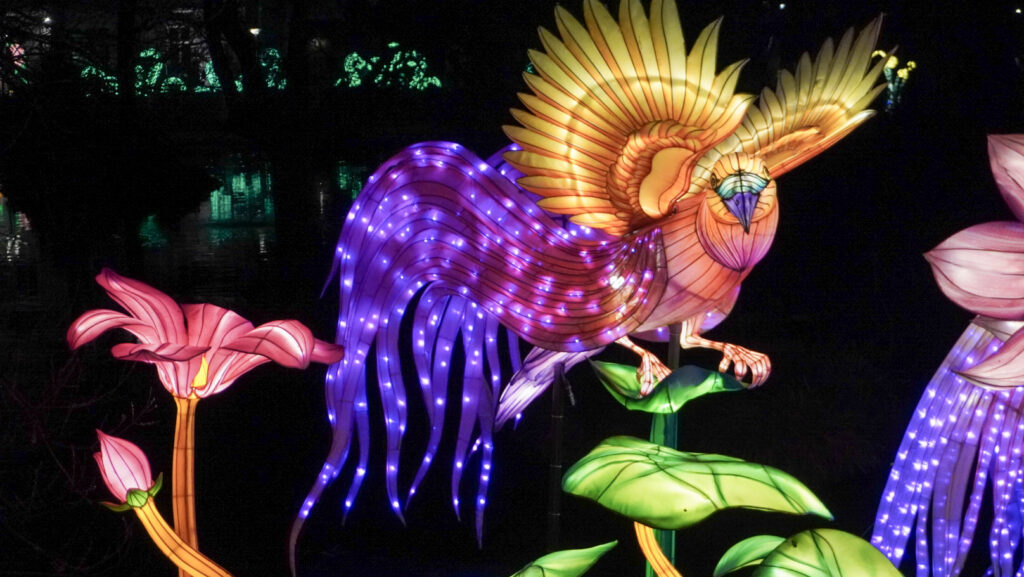 China Lights im K&ouml;lner Zoo