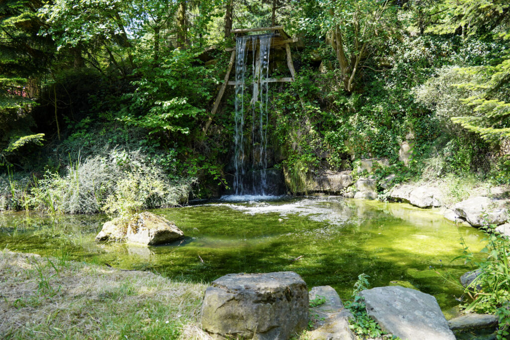 El Mundo Fantasia - Mondo Verde