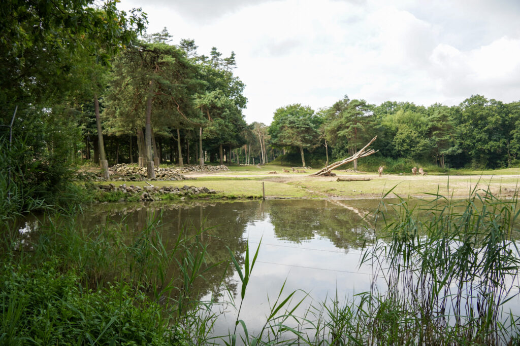 Burgers' Zoo Burgers' Zoo