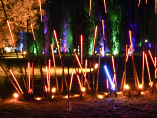 Herbstlichter Brückenkopfpark Jülich Herbstlichter Brückenkopfpark Jülich