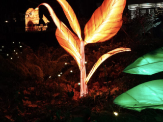 China Lights im K&ouml;lner Zoo