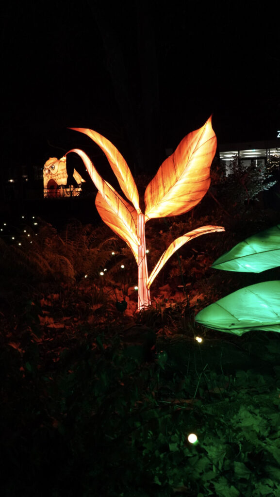 China Lights im K&ouml;lner Zoo