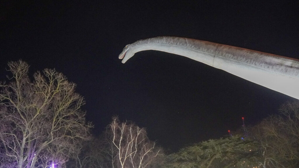 China Lights im K&ouml;lner Zoo