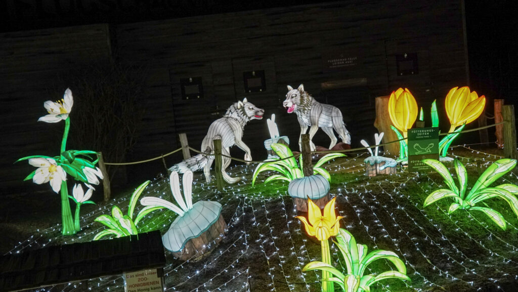 China Lights im K&ouml;lner Zoo