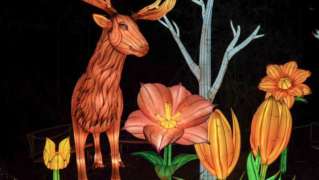 China Lights im K&ouml;lner Zoo