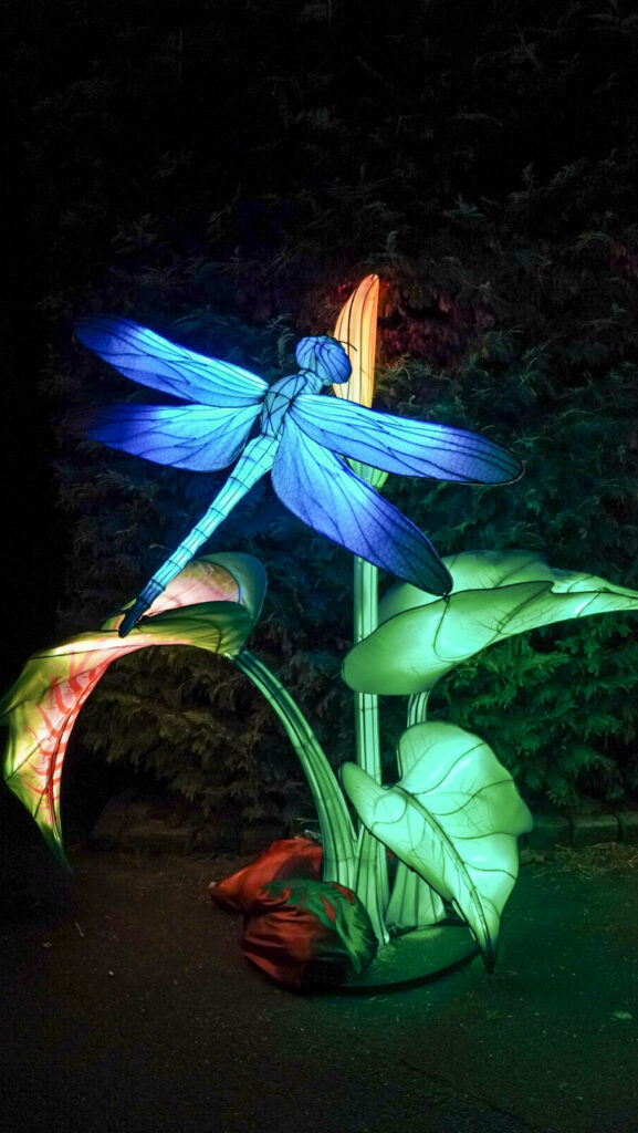 China Lights im K&ouml;lner Zoo