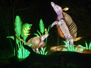 China Lights im K&ouml;lner Zoo