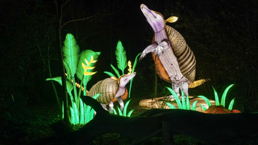 China Lights im K&ouml;lner Zoo