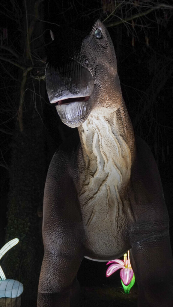 China Lights im K&ouml;lner Zoo
