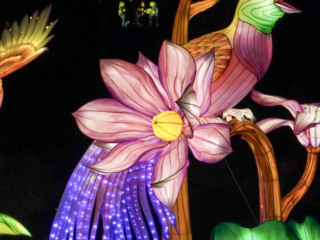 China Lights im K&ouml;lner Zoo