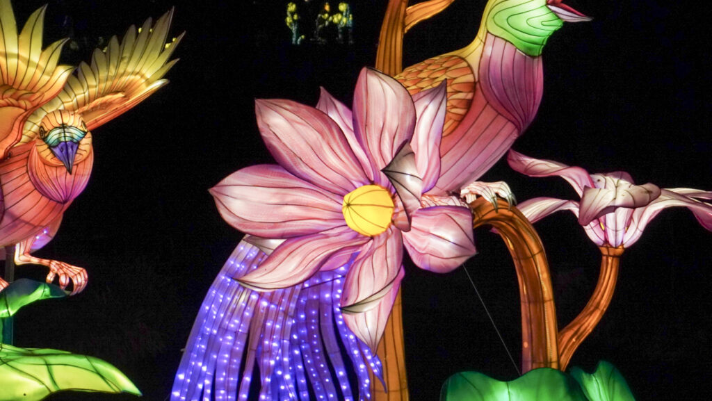 China Lights im K&ouml;lner Zoo