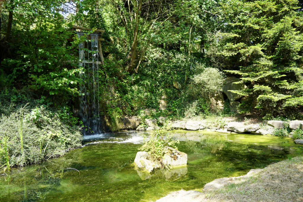 El Mundo Fantasia - Mondo Verde
