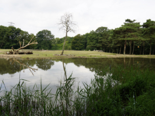 Burgers' Zoo