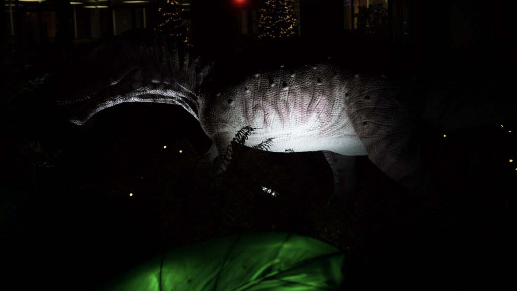 China Lights im K&ouml;lner Zoo