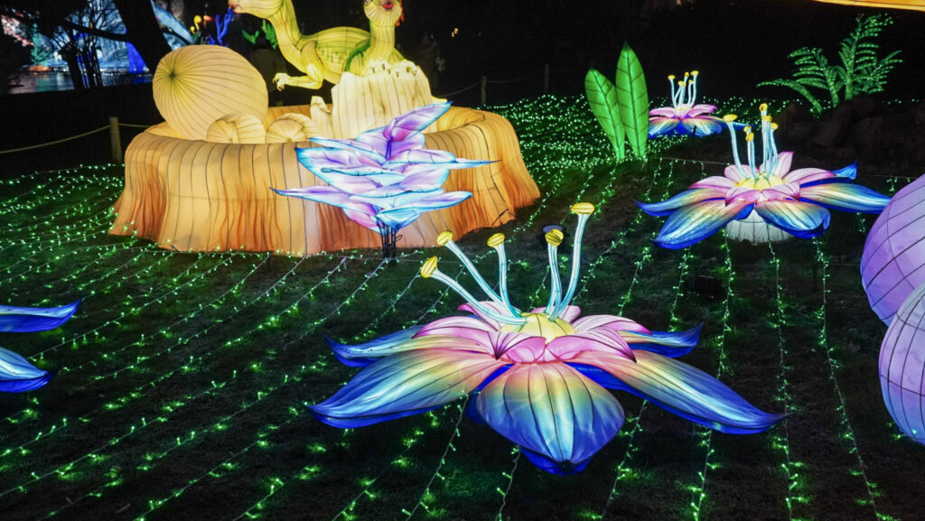 China Lights im K&ouml;lner Zoo