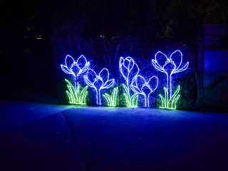 China Lights im K&ouml;lner Zoo