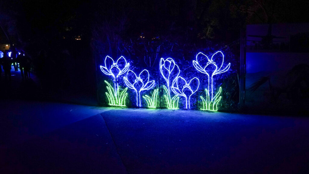 China Lights im K&ouml;lner Zoo