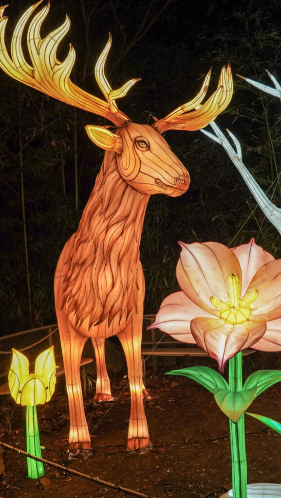 China Lights im K&ouml;lner Zoo