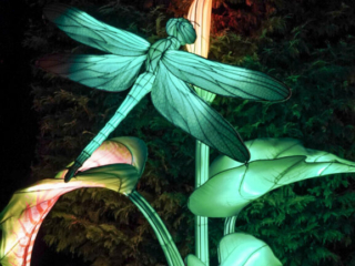 China Lights im K&ouml;lner Zoo