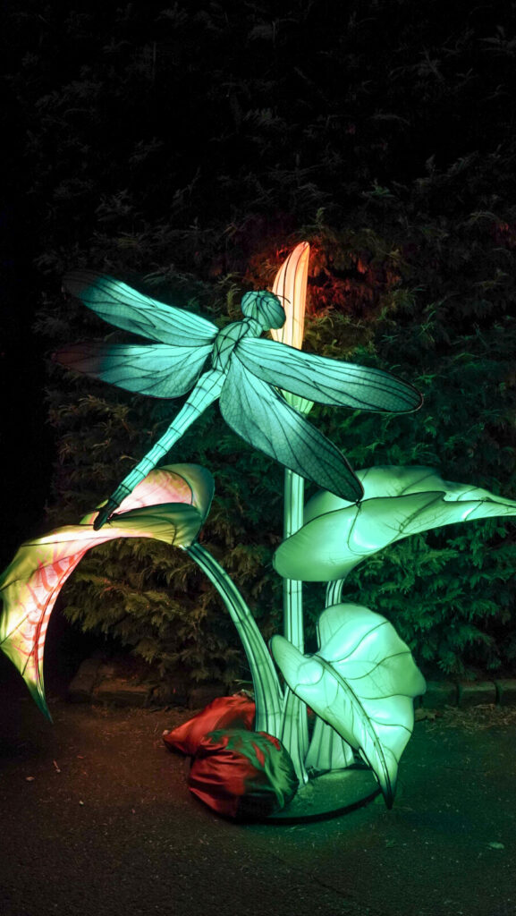 China Lights im K&ouml;lner Zoo