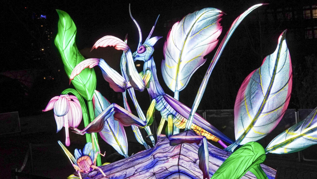 China Lights im K&ouml;lner Zoo