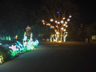 China Lights im K&ouml;lner Zoo
