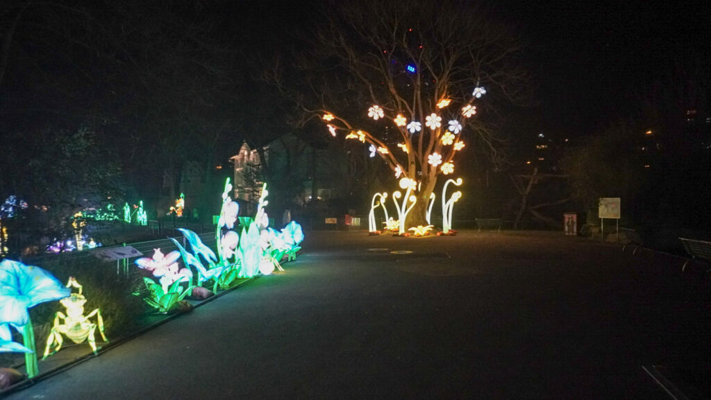China Lights im K&ouml;lner Zoo