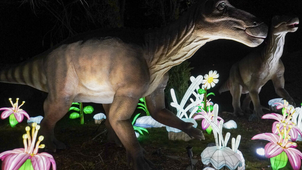 China Lights im K&ouml;lner Zoo