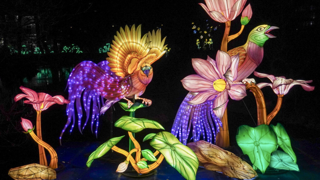 China Lights im K&ouml;lner Zoo