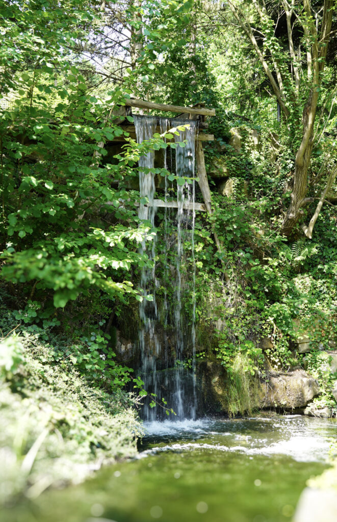 El Mundo Fantasia - Mondo Verde