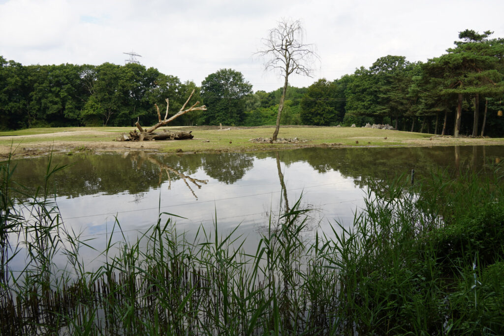 Burgers' Zoo Burgers' Zoo
