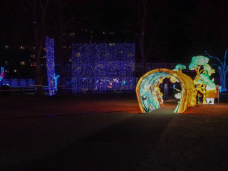 Garden of Lights Garden of Lights