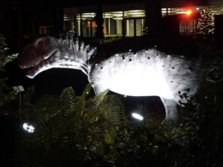 China Lights im K&ouml;lner Zoo