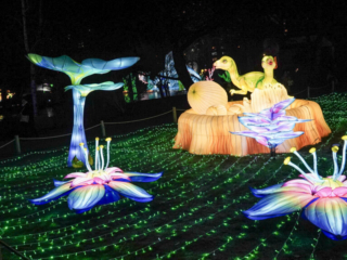 China Lights im K&ouml;lner Zoo