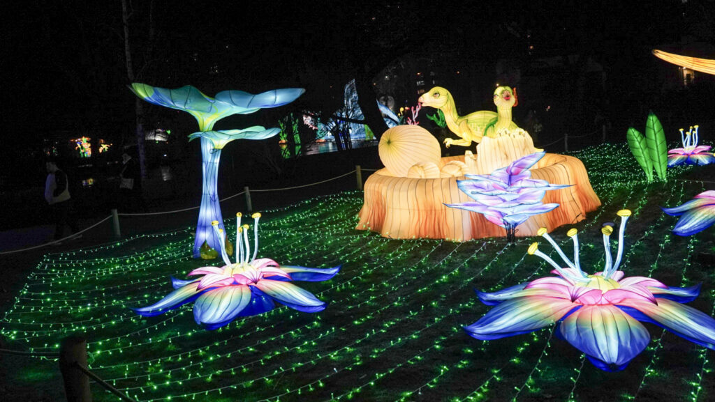 China Lights im K&ouml;lner Zoo