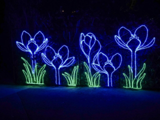 China Lights im K&ouml;lner Zoo