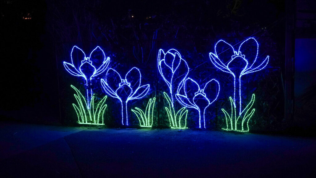 China Lights im K&ouml;lner Zoo