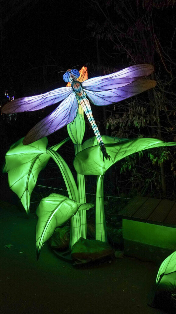 China Lights im K&ouml;lner Zoo