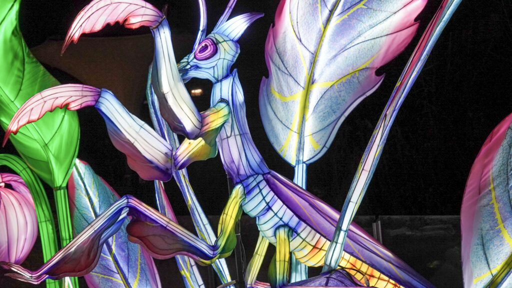 China Lights im K&ouml;lner Zoo