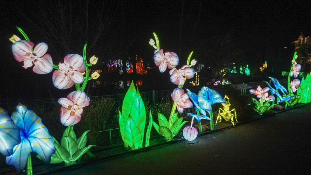 China Lights im K&ouml;lner Zoo