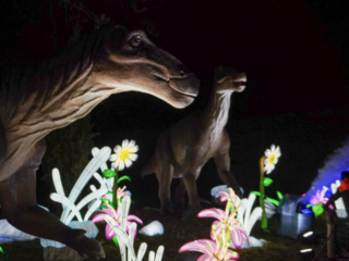 China Lights im K&ouml;lner Zoo