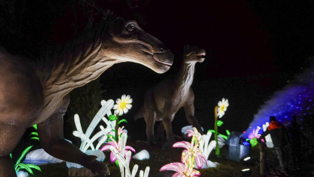 China Lights im K&ouml;lner Zoo