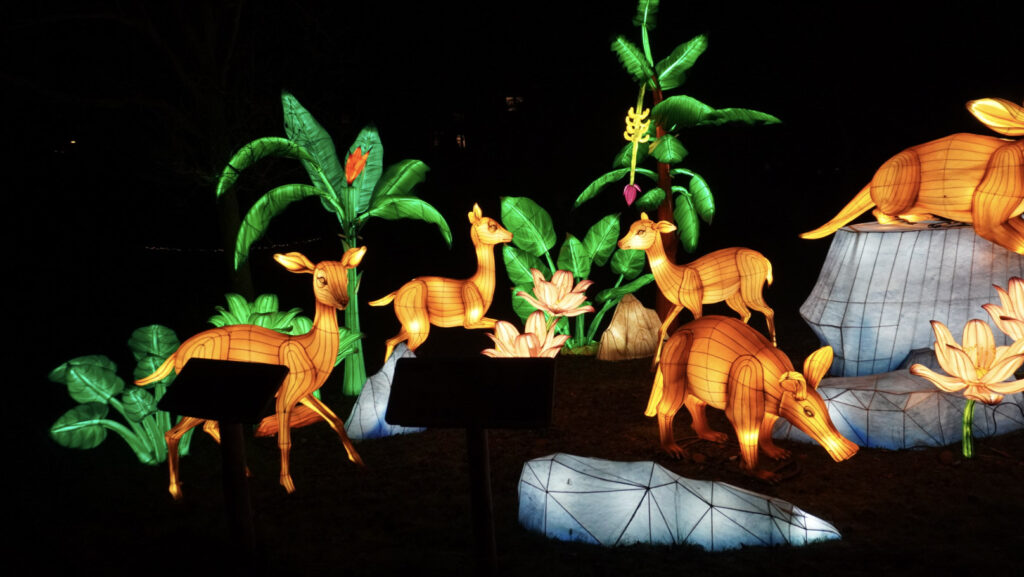 China Lights im K&ouml;lner Zoo