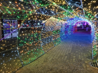 Garden of Lights Garden of Lights