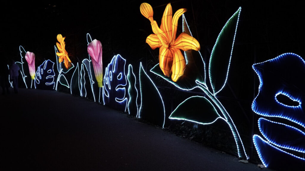 China Lights im K&ouml;lner Zoo